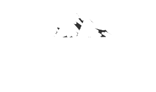 Sparker Webgroup of Nashville TN - WordPress Websites Design and Development