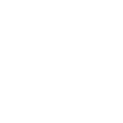 Nashville WordPress Website Design & WordPress SEO  – Sparker Webgroup