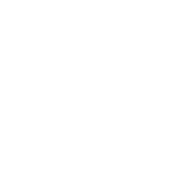 Sparker Webgroup of Nashville TN - WordPress Websites Design and Development